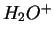 $H_2O^+$